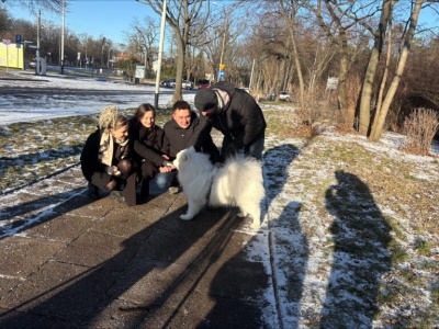 Pierwszy taki Sylwester w Łodzi. Zakaz posiadania i używania fajerwerków na terenach zielonych