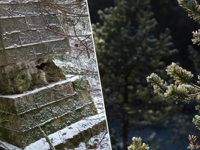 Zagadkowa budowla w polskim lesie. Unikat budzi emocje