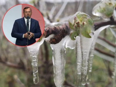 Masz kilka szkód w jednym roku? Sprawdź, co wolno łączyć