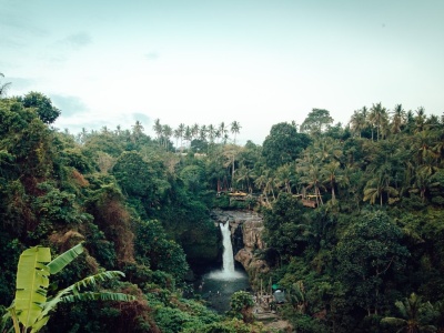 Co dzieje się z Amazonią? Zmienia się w coś, czego nie było od milionów lat