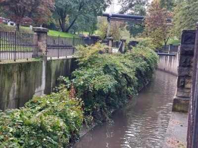 Jest szansa na dalsze porządki wzdłuż Rawy. Na razie koryto wygląda kiepsko