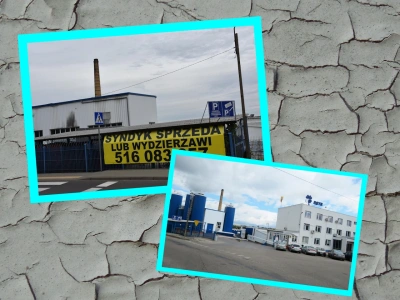 Działała niemal 100 lat. Legendarna polska mleczarnia znika z rynku