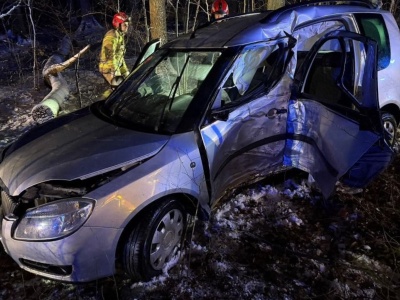 Miał prawo jazdy od miesiąca i wjechał w drzewo. Pięcioro nastolatków w szpitalu