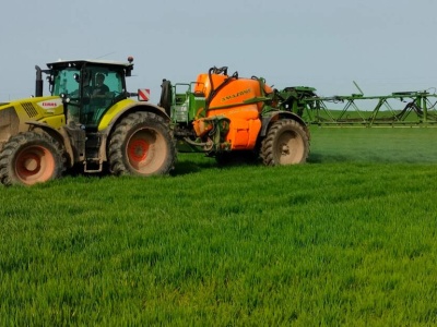 Miedź, mangan i cynk – bez nich zboża nie pokazują pełnego potencjału