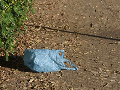 Dramatyczne chwile w rumuńskim zoo. Ktoś wrzucił do klatki reklamówkę