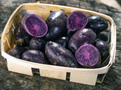 Najzdrowsza odmiana ziemniaków. Jedz, a będziesz mieć serce jak dzwon i unikniesz skoków cukru