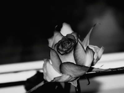 Zasiłek pogrzebowy w górę. Od 2026 roku będzie wynosił 7 tysięcy złotych