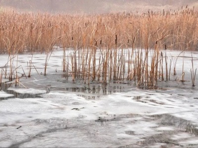 Kobieta z dzieckiem wpadli do zamarzniętego stawu