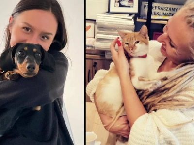 Samorządowcy z Legnicy apelują, by witać Nowy Rok bez fajerwerków i petard