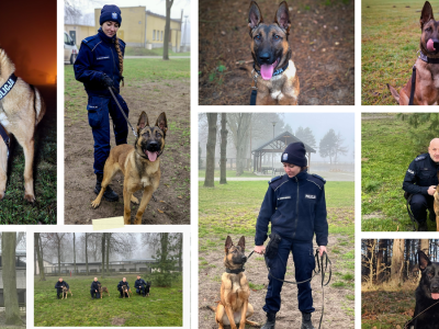 Policja zachodniopomorska ma nowych psich funkcjonariuszy