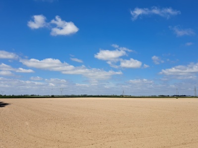 Długo wyczekiwany projekt ustawy o dzierżawie rolniczej ujrzał światło dzienne
