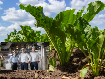 Pfeifer & Langen: nowy prezes i zarząd. Jakie plany wobec rolników?