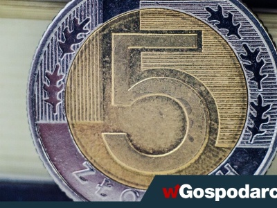 To był rok złota! A może złotego?