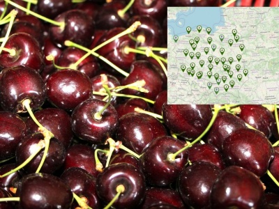 Mapa sprzedaży bezpośredniej. Rolnicy dotrą do klientów bez pośredników