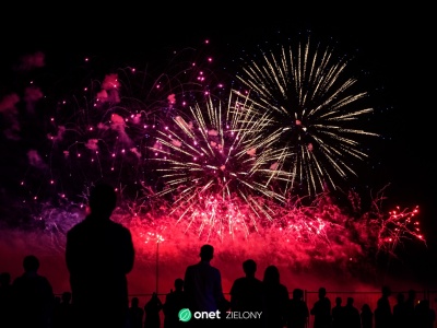 Efektowna tradycja czy bomba ekologiczna? Eksperci ostrzegają przed skutkami pokazów fajerwerków