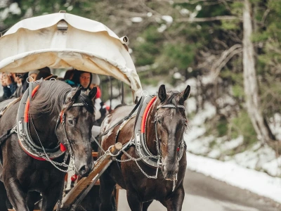 Nie będzie rewolucji na trasie do Morskiego Oka? Transport konny pojedzie dłuższą trasą