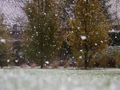 Klimatolog: odzwyczailiśmy się od śnieżnych zim