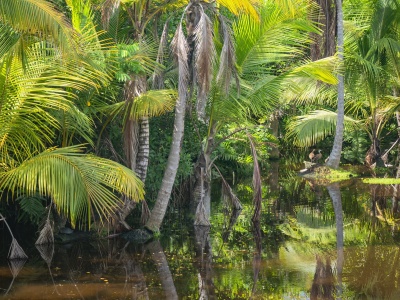 Skamieniałości wewnątrz skamieniałości. W odległej jaskini doszło do odkrycia, jakiego świat jeszcze nie widział
