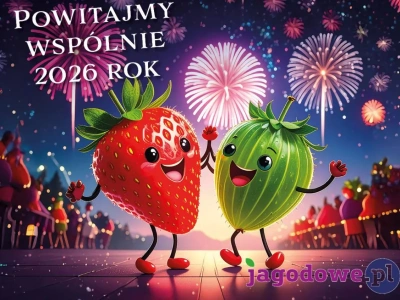 Szczęśliwego, udanego roku 2026!