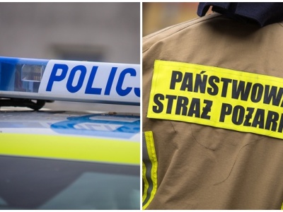 Alarmy w muzeum, trzej nietrzeźwi, zagubiony pies. Spokojna noc sylwestrowa