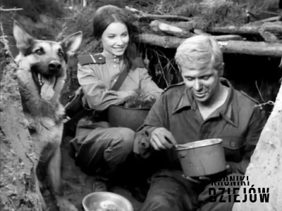 Seriale, przez które wyludniały się ulice. Telewizyjne hity PRL