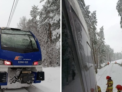 Pociąg uderzył w drzewo zwisające nad torami. Jest komunikat PKP