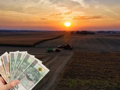 Sprzedajesz ziemię? Te grunty nie są zwolnione z podatku