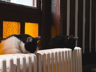 Płaci 1500 zł miesięcznie za prąd, a w mieszkaniu jest zimno. Dramat samotnej matki spod Gdańska