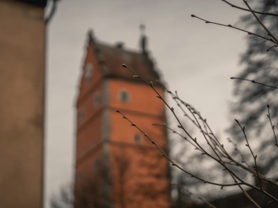 Oświetlone mury, ciche uliczki i średniowieczny rytm. Najlepszy city break w okolicy