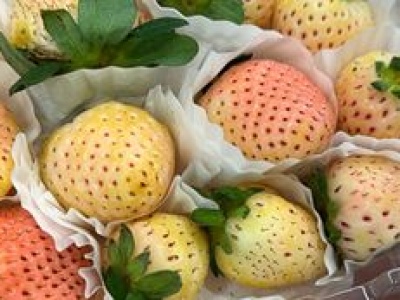 W Polsce wciąż mało znany owoc. Gdy zobaczysz, to kup i spróbuj, bo nieźle cię zaskoczy