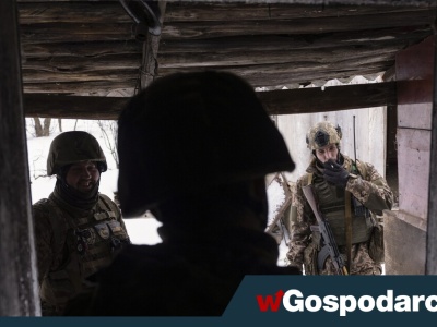 Jak zmartwychwstał „White Rex”, wart pół miliona dolarów