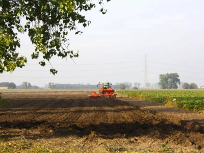 Rolnik ukarany za poprawienie gleby. „Kukurydza urosła. A ja dostałem mandat”