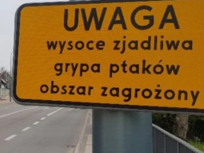 Uwaga - ptasia grypa