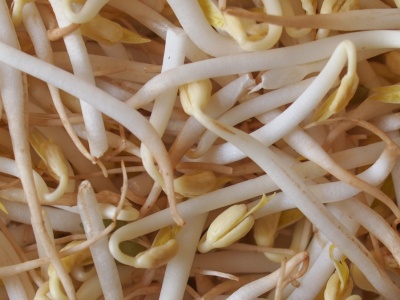 Wystarczy odrobina do kanapki. Wymiatają wolne rodniki, wspomagają serce