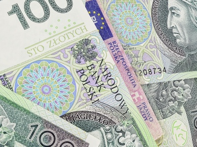 Skanowanie dowodów pod lupą: nadmiarowy środek czy konieczność?