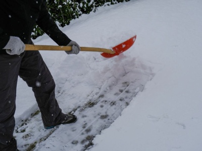 Mokry śnieg to pułapka dla ogrodu. Wielu robi to automatycznie i żałuje