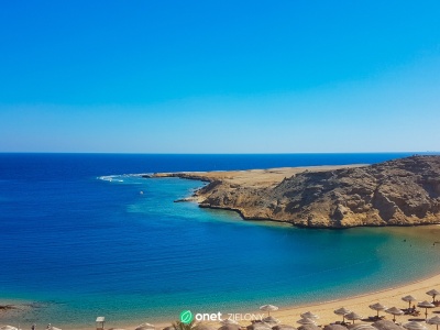 Atak ryby na plaży. Rosyjski turysta trafił do szpitala