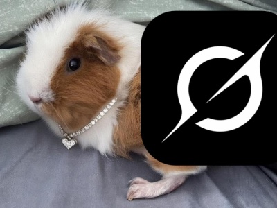 Afera na portalu X: Grok rozbiera kobiety, rakiety i świnki morskie