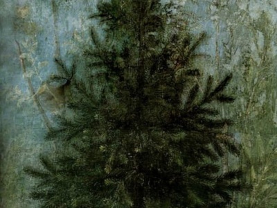 To nie choinka? Fresk z Willi Liwii w Rzymie