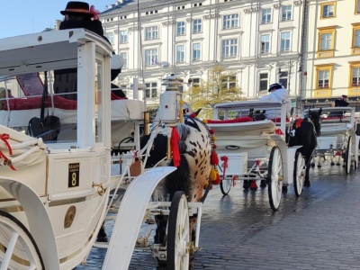 Dorożki znikną z Rynku Głównego na kilka godzin