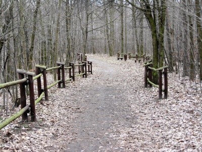 Tylko kilka przystanków od centrum Warszawy. Las Bielański to 