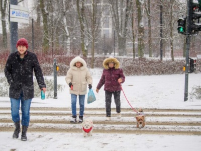 Początek tygodnia na minusie i w bieli. Pogoda na poniedziałek, 5 stycznia