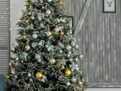 Co zrobić z choinką po świętach? Gdzie we Wrocławiu wyrzuca się choinki?