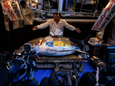 Tuńczyk błękitnopłetwy osiąga rekordowe 3,2 miliona dolarów na aukcji noworocznej w Tokio: 