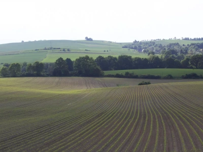 Rolnik ryczałtowy a sprzedaż gruntów pod zabudowę. Czy trzeba zapłacić VAT?