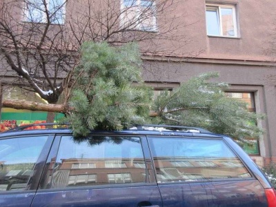 Co zrobić z choinką po Świętach? Trzyniec i Czeski Cieszyn mają ekologiczne rozwiązanie