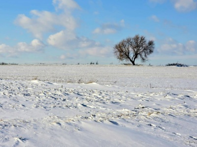 Decyzje UE nie odpowiadają na potrzeby gospodarstw. Rolnicy oczekują dalszych zmian
