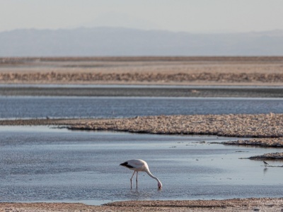 Chcą wydobywać ekologiczny skarb. Jest ryzyko, że zabraknie wody