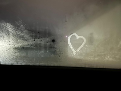 Niecodzienna „randka” na prywatnym terenie w Kętach