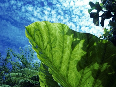 Inowrocław mówi: Stop betonozie! Rusza rewitalizacja w centrum miasta